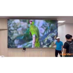 Màn hình ghép Orion lai