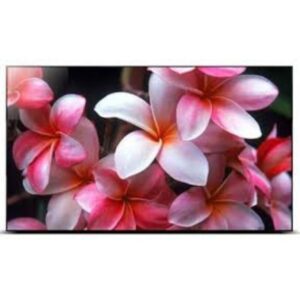 Màn hình ghép Philips 55BDL8007X/00