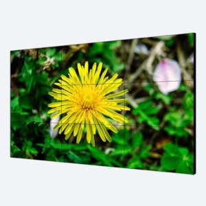 Màn hình ghép DS-D2055HE-G